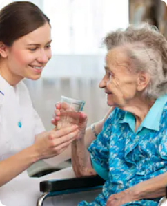 In Home Senior Care