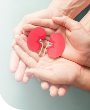 Scope of Services Hemodialysis
